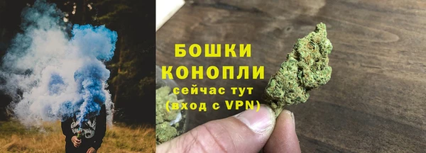 сатива Богородицк