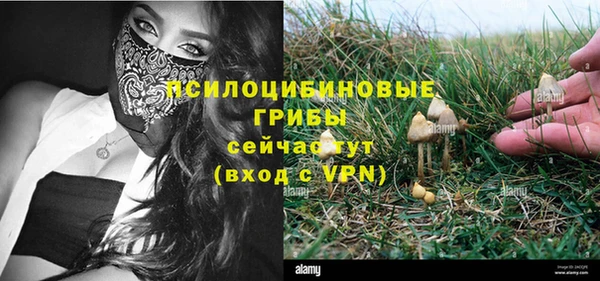 сатива Богородицк