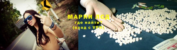 сатива Богородицк