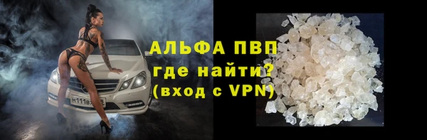 сатива Богородицк