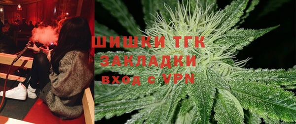 сатива Богородицк