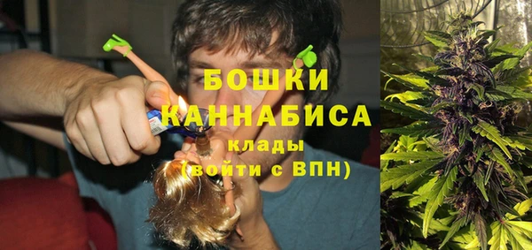 2c-b Богданович
