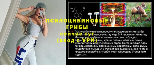 сатива Богородицк