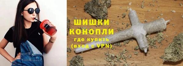 сатива Богородицк