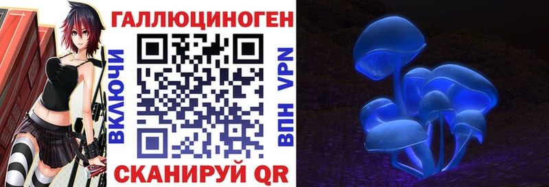 Галлюциногенные грибы Psilocybe  Купить закладки  Бежецк 